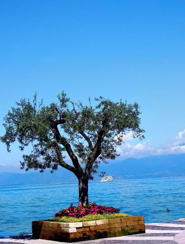 Mahatma Residence Lake View Lazise Habitación foto